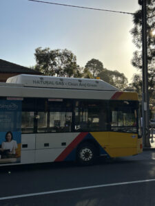 CNG Bus