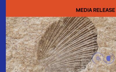 Shell-funded school materials downplay fossil fuels’ role in climate change report finds