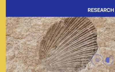 Queensland Museum Learning Resources: Climate Accuracy and Sponsorship Concerns